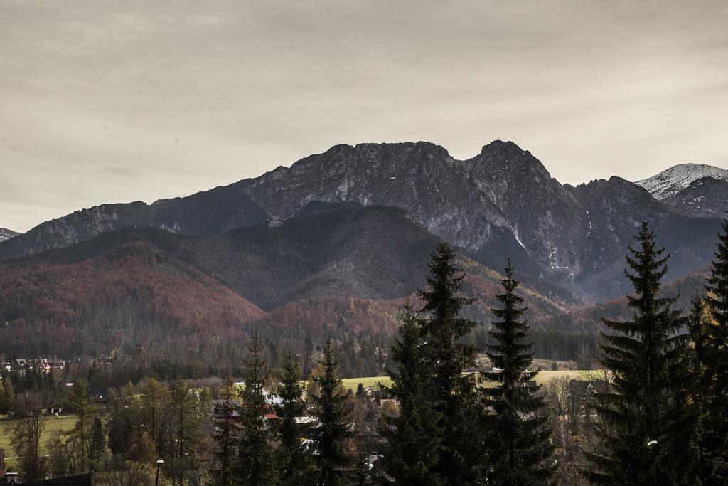 Willa Leluja Zakopane Exterior foto